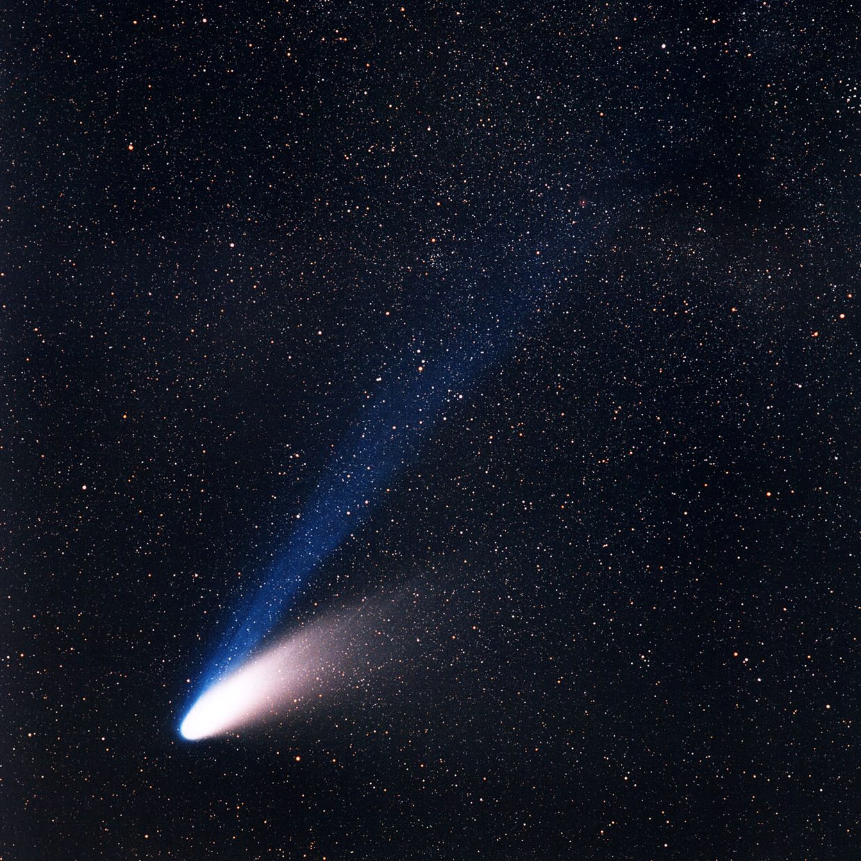 ESO-Foto von Hale-Bopp